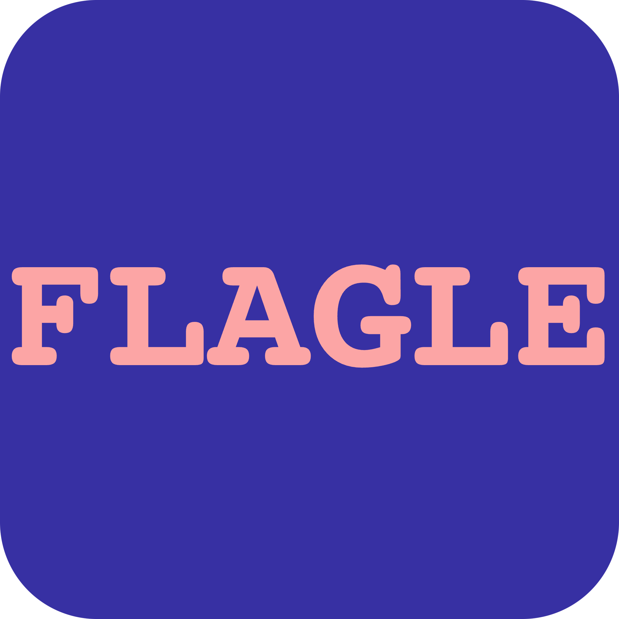 Flagle Explorer Team